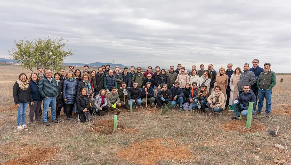 Actividades de reforestación​